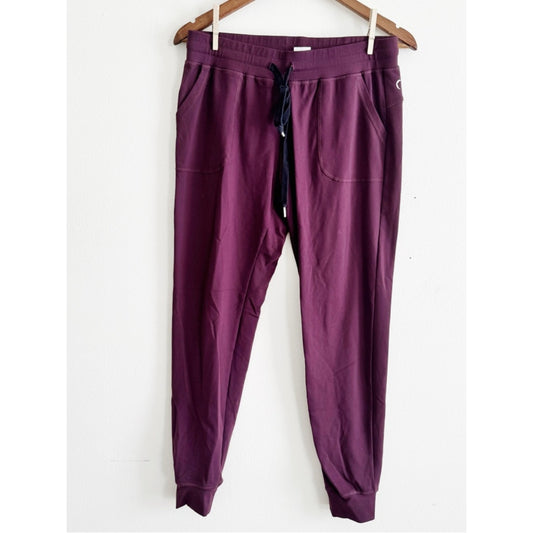 Zyia Active Plum Athletic joggers medium